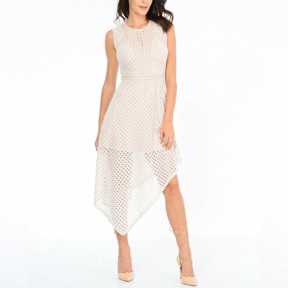 BCBG Max Azria Tracie Asymmetrical Hi Lo Lace Dress  Bare Pink Nude Sz Small - Picture 1 of 9